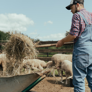 爱萌哆宠物俱乐部