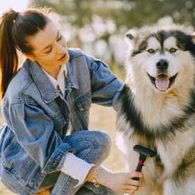 爱萌哆宠物俱乐部
