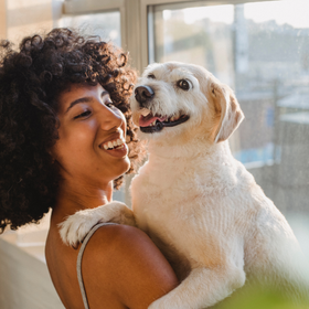 爱萌哆宠物俱乐部