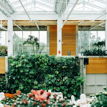 爱萌哆宠物俱乐部