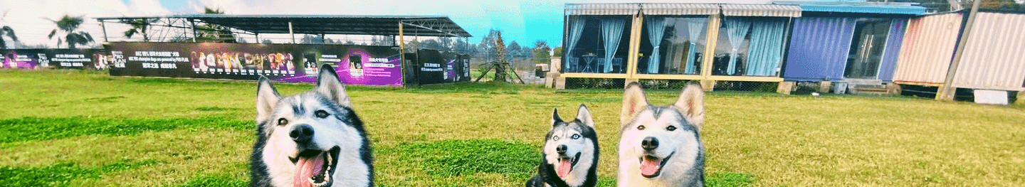 爱萌哆宠物俱乐部